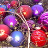 28112008402_thumb