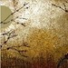 3gold_square