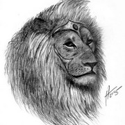 The_king_card