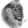 The_king_thumb