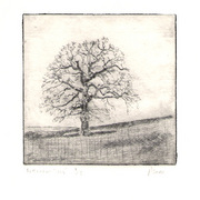 Rettendon_tree_drypoint_small_card