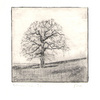 Rettendon_tree_drypoint_small_thumb