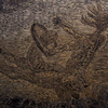 Img_0106_thumb
