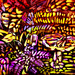 02_secret_garden_square