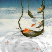 Puddle_jump_card