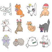 Catcard1_copy_card