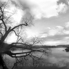 Winding_river_2_thumb