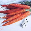 Carrots_thumb