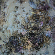 K_p_1007_card