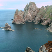 1077a-cougar_rocks_card