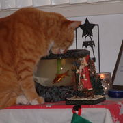 Dscf0020_card