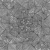 Lines_thumb