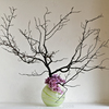Ikebana-049_thumb