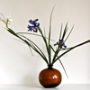Ikebana-077_thumb