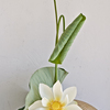 Ikebana-042_thumb
