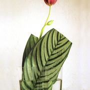 Ikebana-006_card