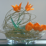 Ikebana-012_card