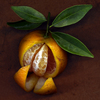 Clementine_thumb