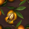 Clementines_thumb