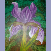 Flor_1_card