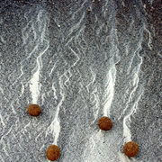 Sur-les-pointes-des-pieds_-_card