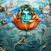 Immerging_worlds_card