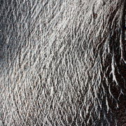 Sur-les-pointes-des-pieds_-_card