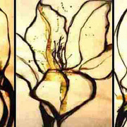 Blume_card