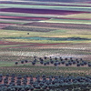 Spain_thumb