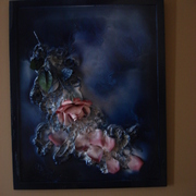 Dsc00845_card