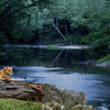 1083-quiet_jungle_riverside_afternoon_thumb