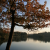 Img_3006_thumb