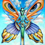 Butterfly_sky_card