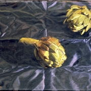 Ofrendas_card