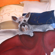 Img_0992_card
