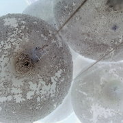 20122008128_card