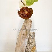 Ikebana-060_card