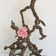 Ikebana-037_card