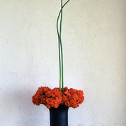 Ikebana-004_card