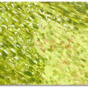 Greenthinker_card