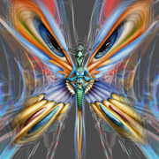 Metamorphose_card