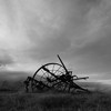 Dsc_0027old_cultivator_thumb