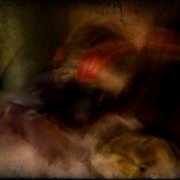 Ph122108-2_card