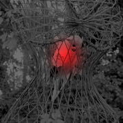 P9170002_card