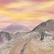 Desert_road_card