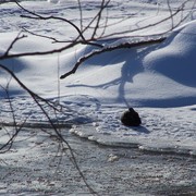 100_0906_card