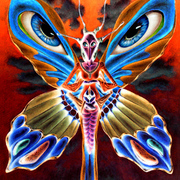 Butterfly_invertion_card