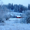 Snowa_049f_thumb