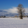 Snowa_101f_thumb