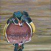 Woodduck_email_thumb